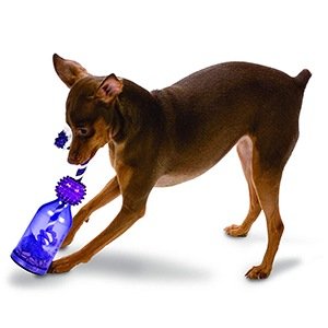 Meal Dispensing Dog Toy. Top 10 Gifts On Amazon Your Dog Will Love. Gifts For Dogs. Gifts For Pets. Christmas Presents For Dogs. Gift Ideas For Dogs. Gifts For Fur Babies. Elephant on the Road.