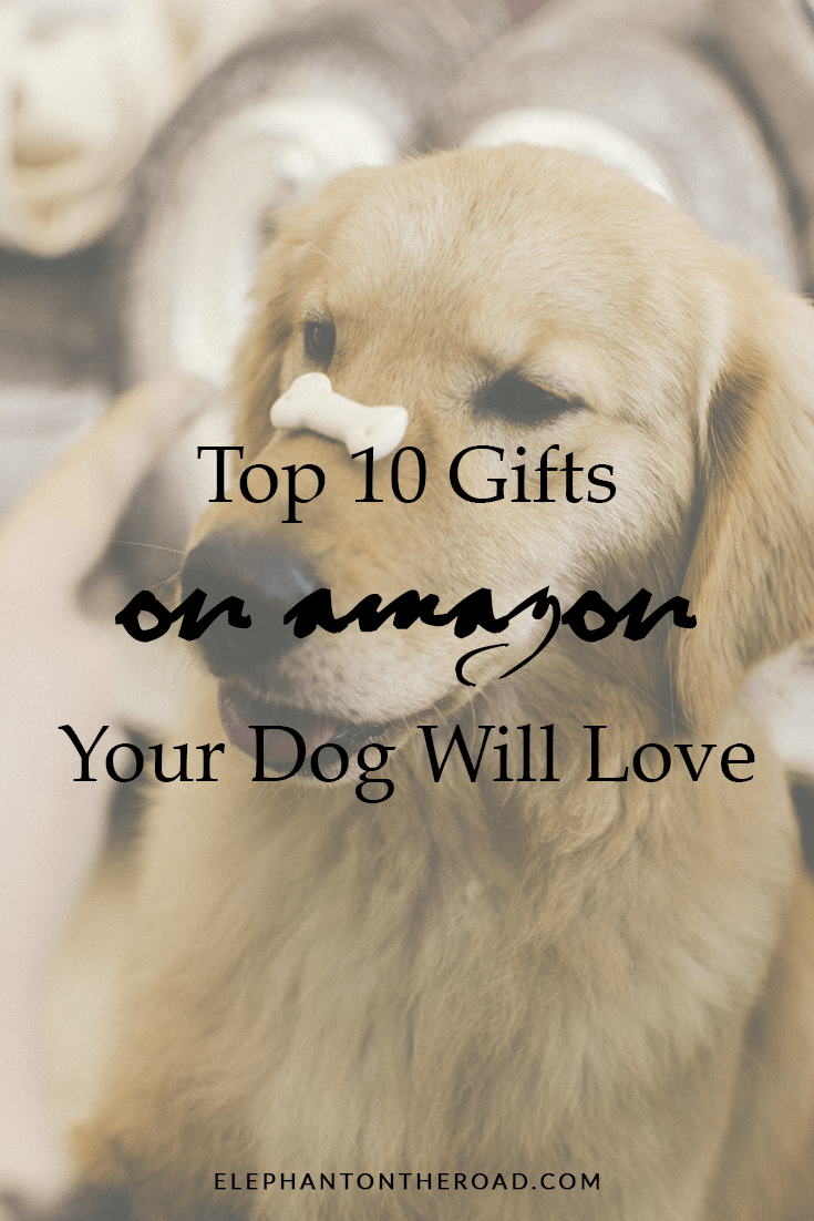 Top 10 Gifts On Amazon Your Dog Will Love. Gifts For Dogs. Gifts For Pets. Christmas Presents For Dogs. Gift Ideas For Dogs. Gifts For Fur Babies. Elephant on the Road.